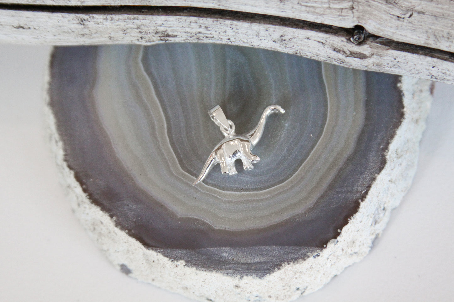 .925 Sterling Silver Dinosaur Pendant