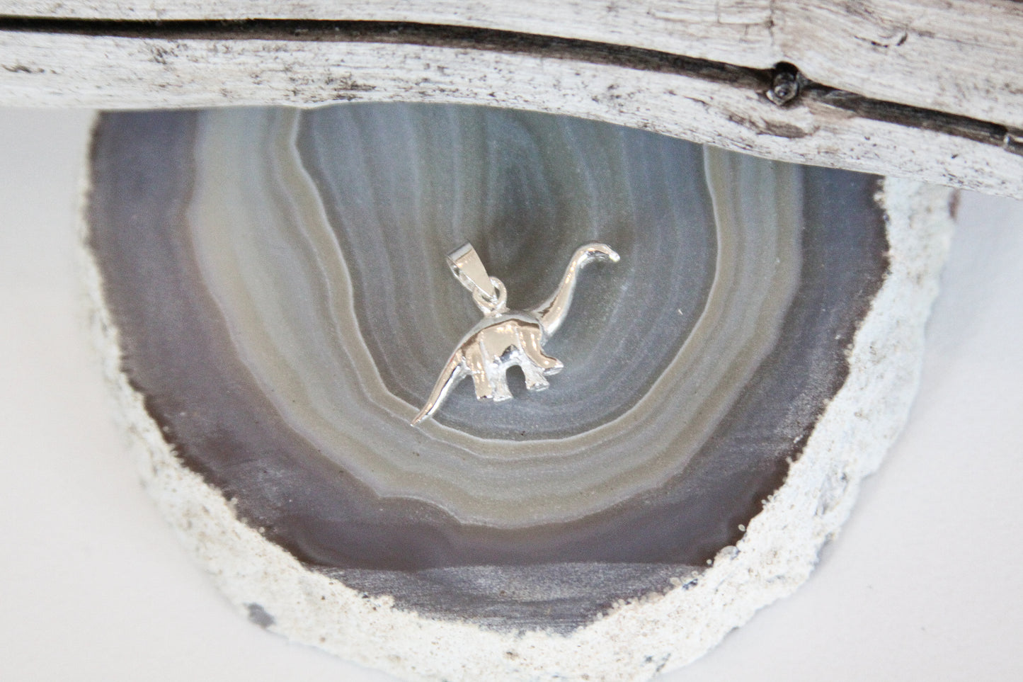 .925 Sterling Silver Dinosaur Pendant