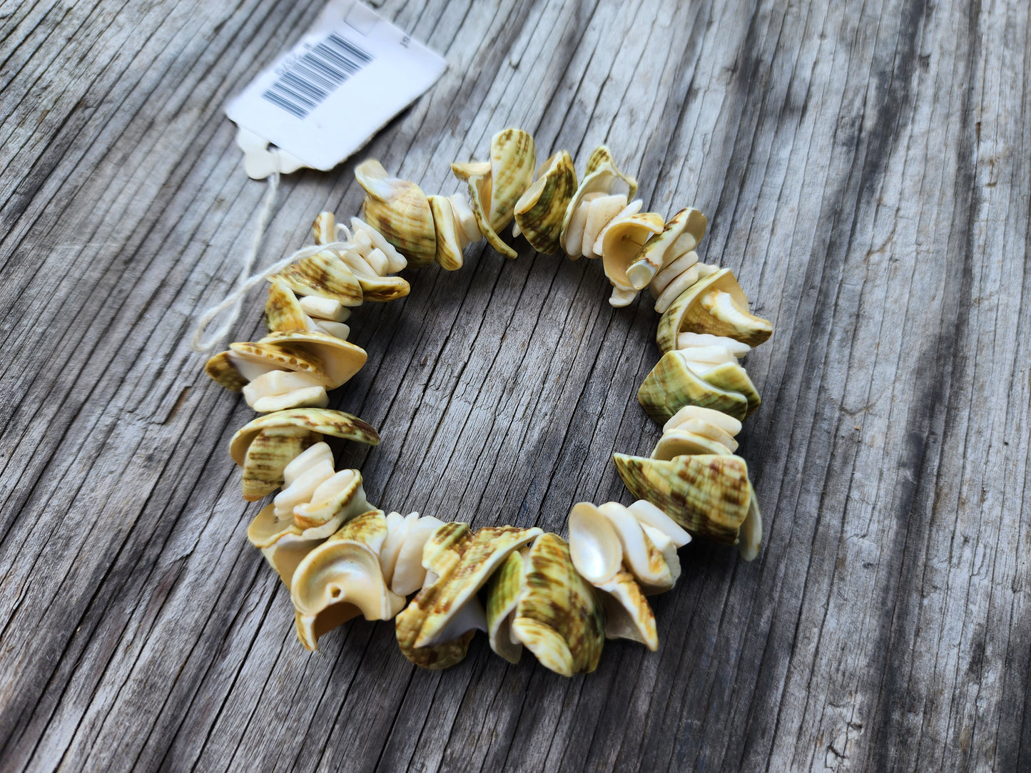 Handcrafted Shell Beach Bracelet