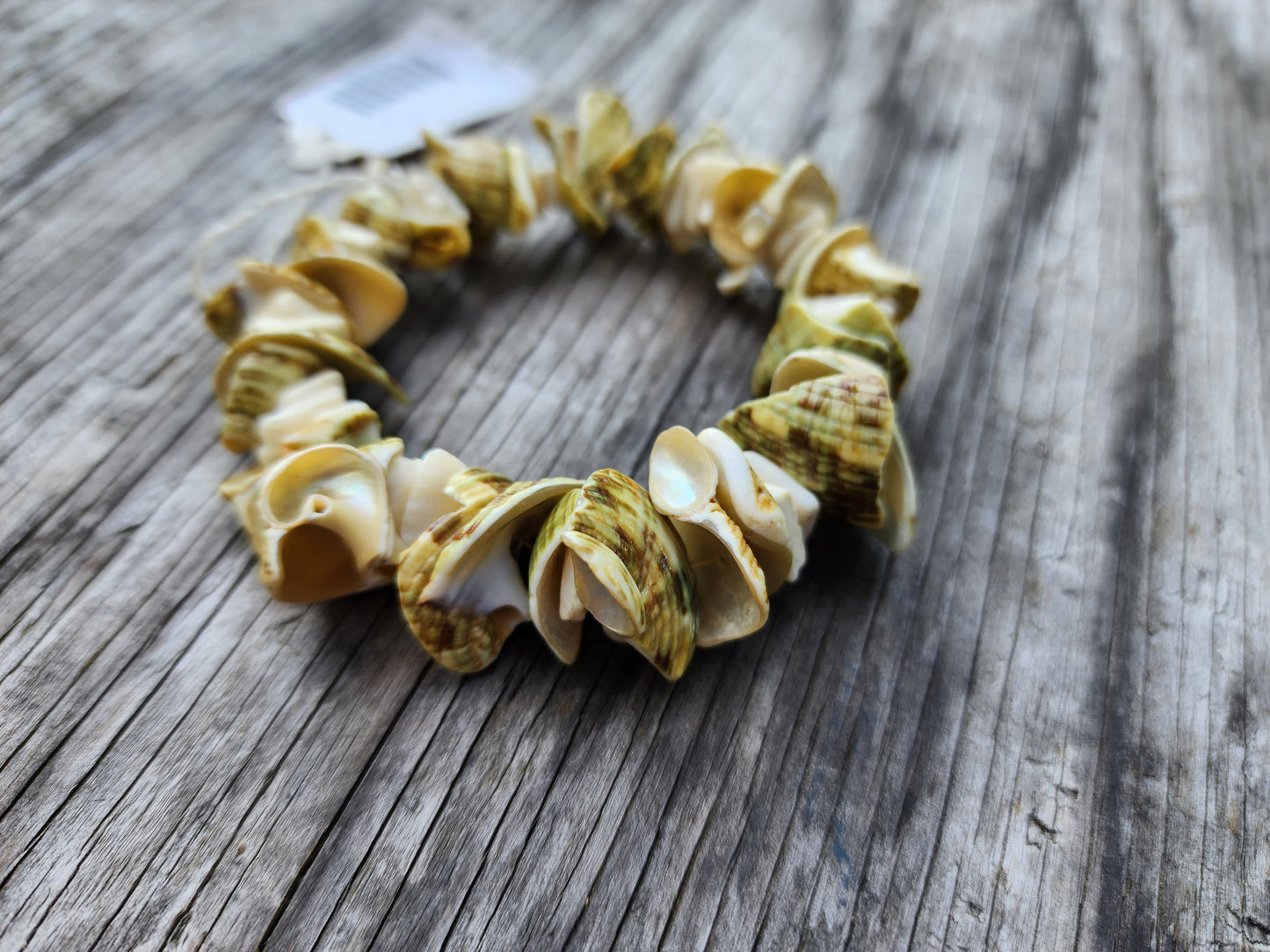 Handcrafted Shell Beach Bracelet