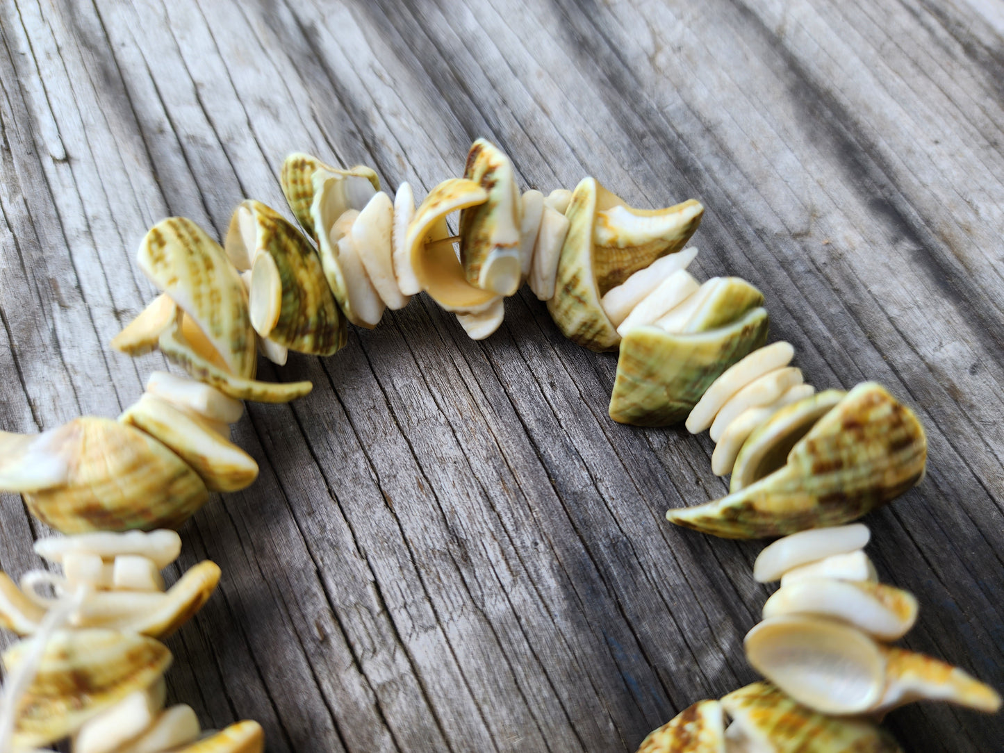 Handcrafted Shell Beach Bracelet