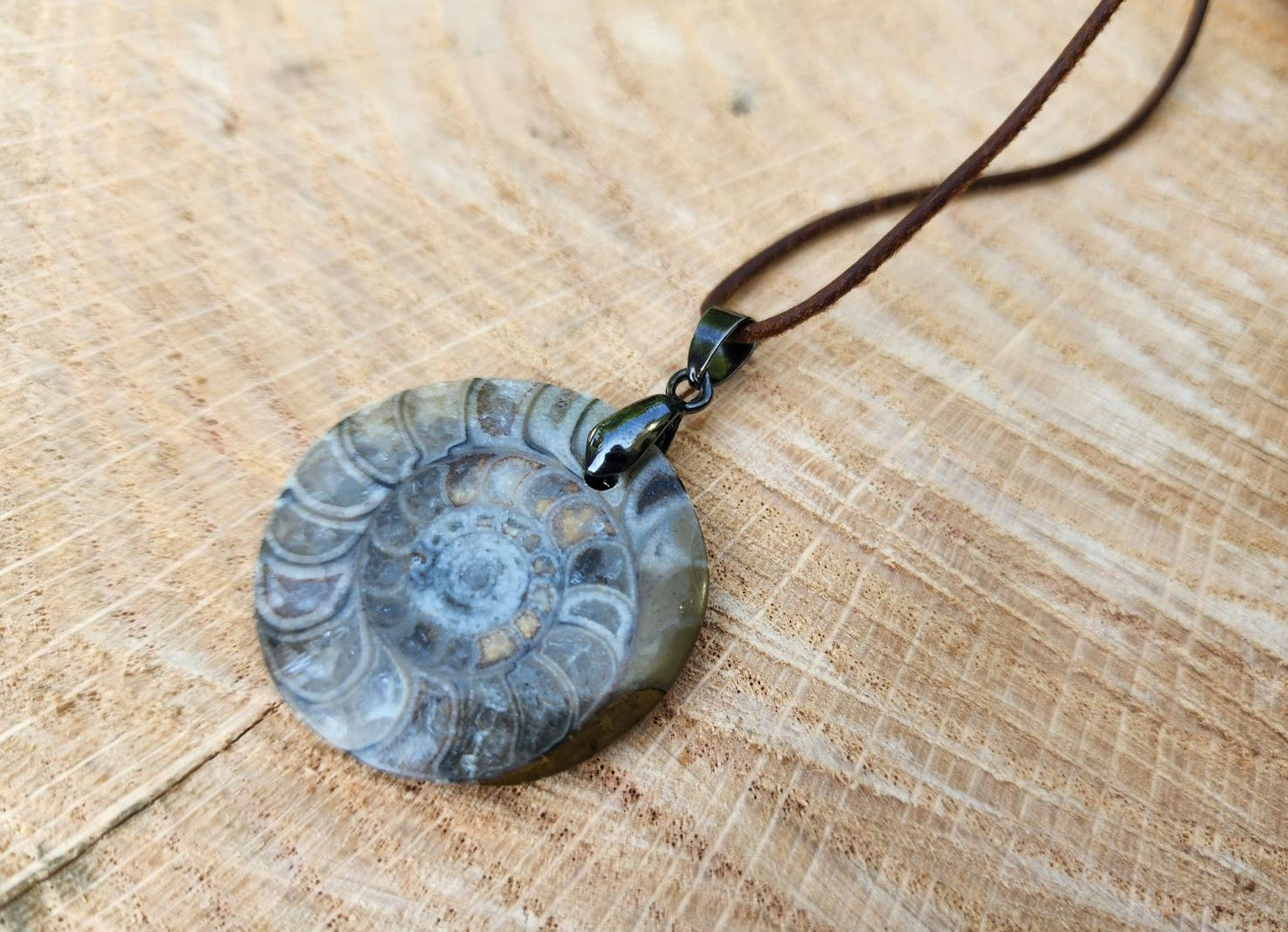 Ammonite Fossil Pendant on Leather Cord