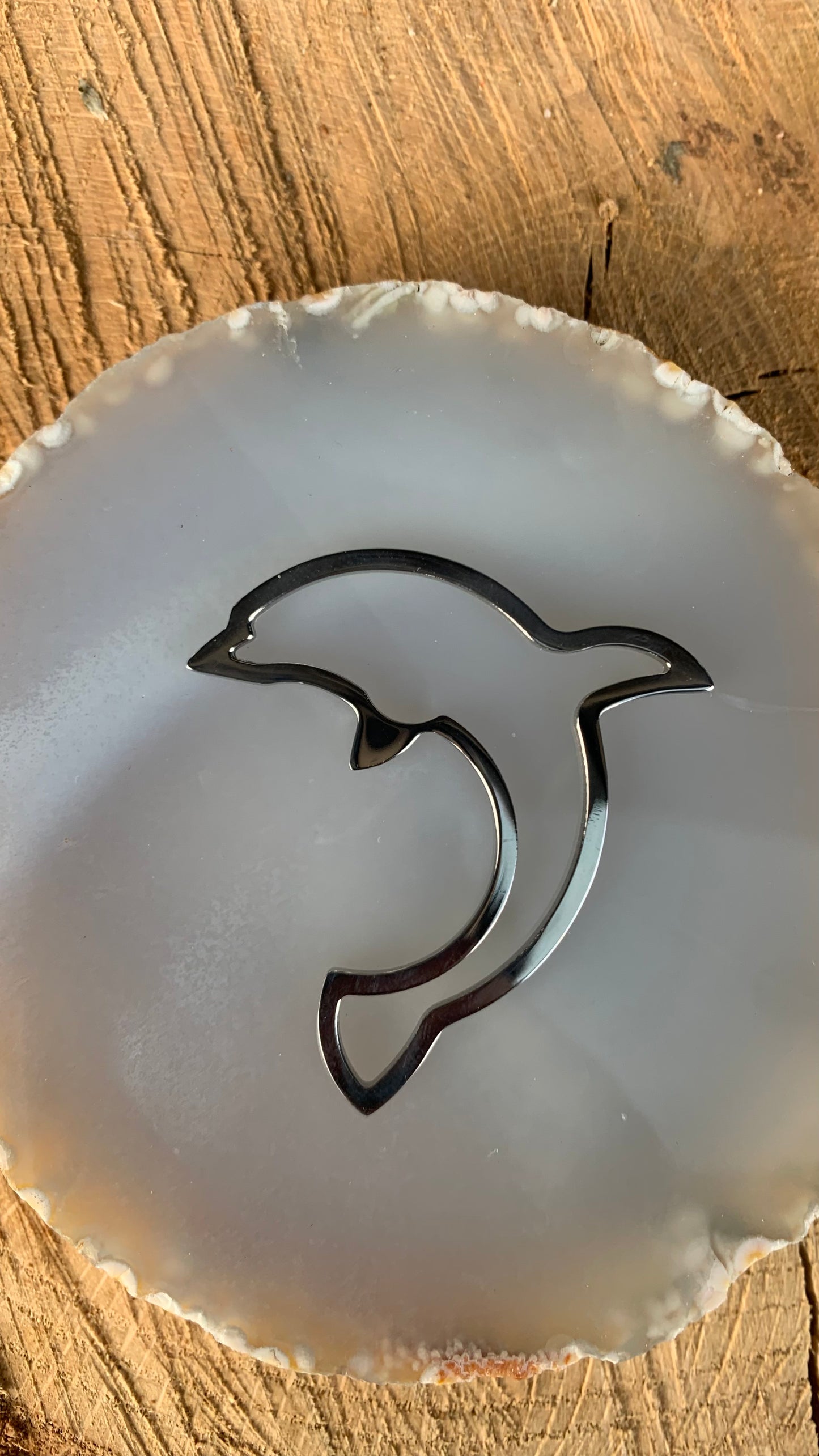 Dolphin Pendant Stainless Steel