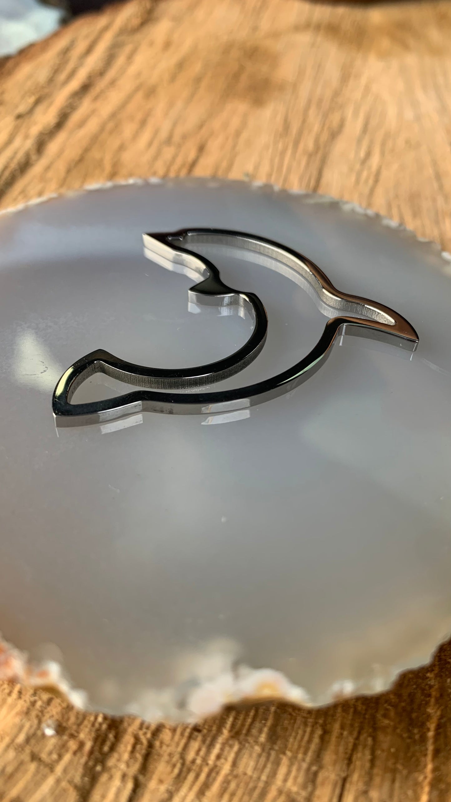 Dolphin Pendant Stainless Steel