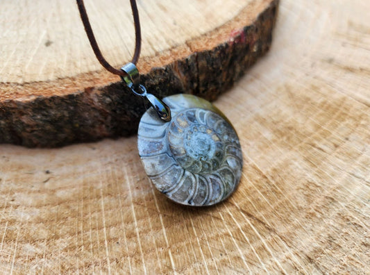 Ammonite Fossil Pendant on Leather Cord