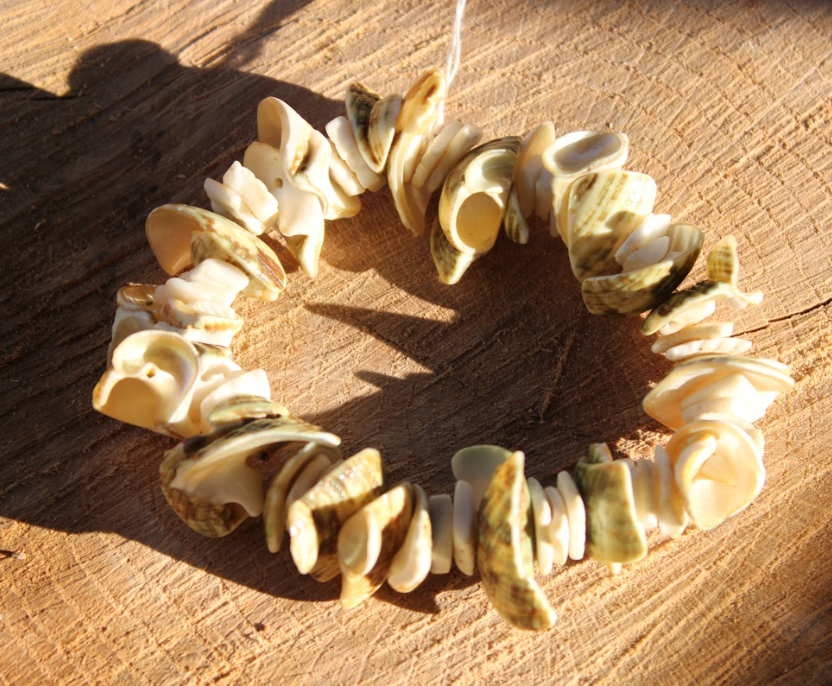 Handcrafted Shell Beach Bracelet